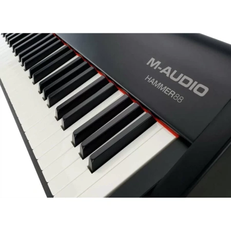Купить M-audio Hammer 88 по выгодной цене в Нижнем Новгороде