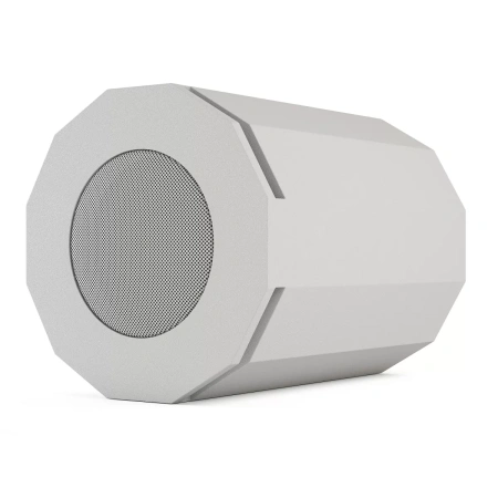 Купить CVGAUDIO SUBone model DH-8W/CR по выгодной цене в Нижнем Новгороде