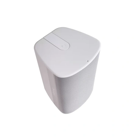 Купить Biamp Desono DX-S8-UB-W White по выгодной цене в Нижнем Новгороде