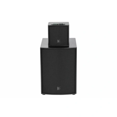 Купить DS Proaudio ANT по выгодной цене в Нижнем Новгороде