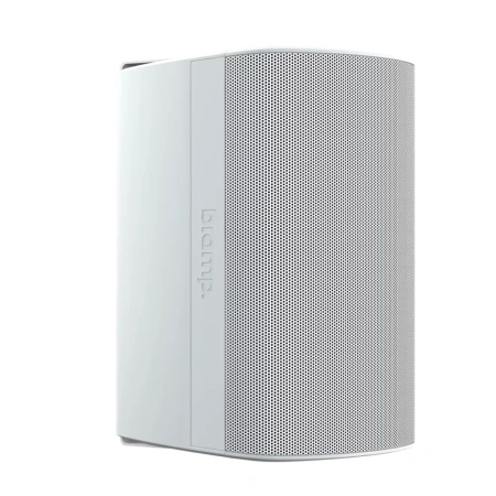 Купить Biamp Desono DX-S8-UB-W White по выгодной цене в Нижнем Новгороде
