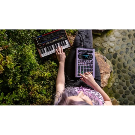 Купить ROLAND SP-404MKII по выгодной цене в Нижнем Новгороде