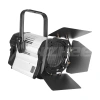 Купить ANZHEE PRO Spectrum Fresnel F 300 по выгодной цене в Нижнем Новгороде