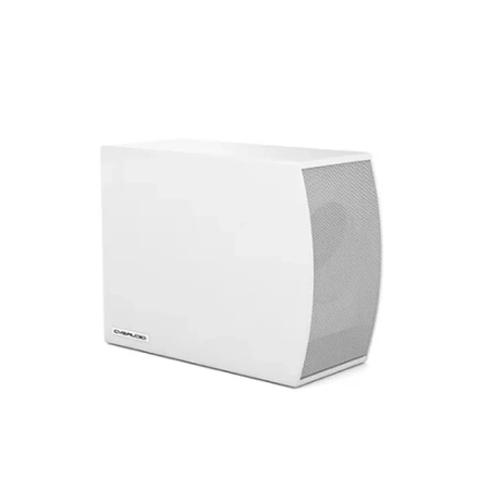 Купить CVGAUDIO SUBone model C-6W по выгодной цене в Нижнем Новгороде
